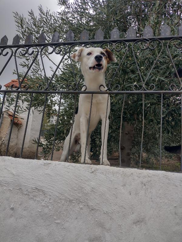 Ciao a tutti da Robin (Catania) Foto 6